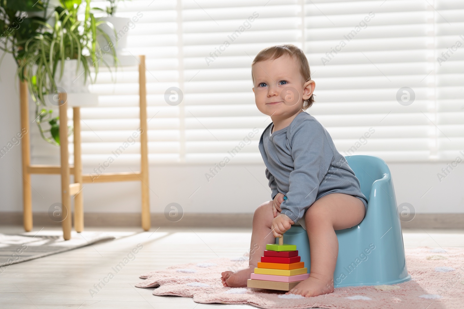 Photo of Little child with toy sitting on plastic baby potty indoors. Space for text