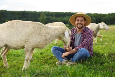 Smiling man feeding sheep on pasture at farm