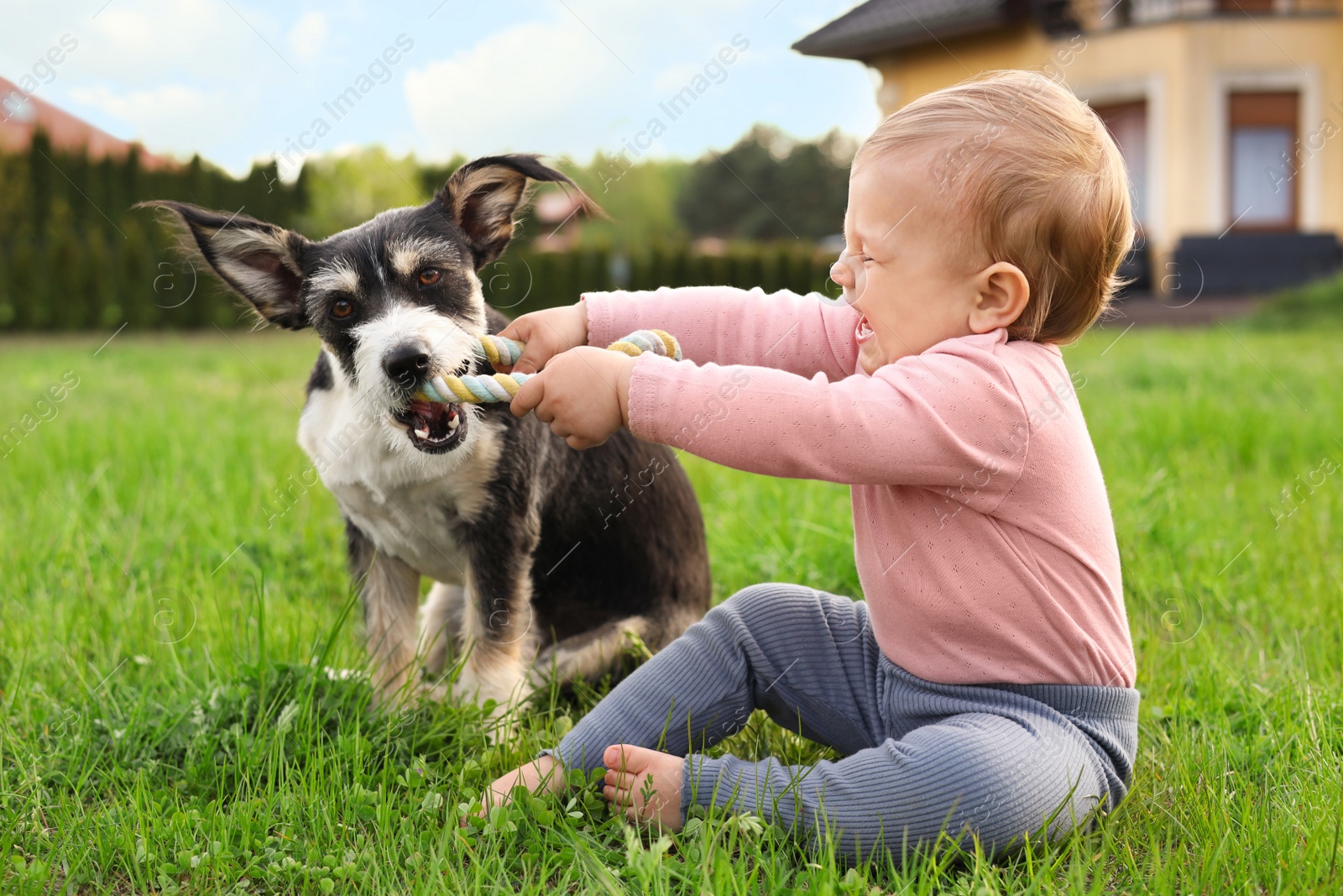 Photo of Adorable baby and furry little dog on green grass outdoors