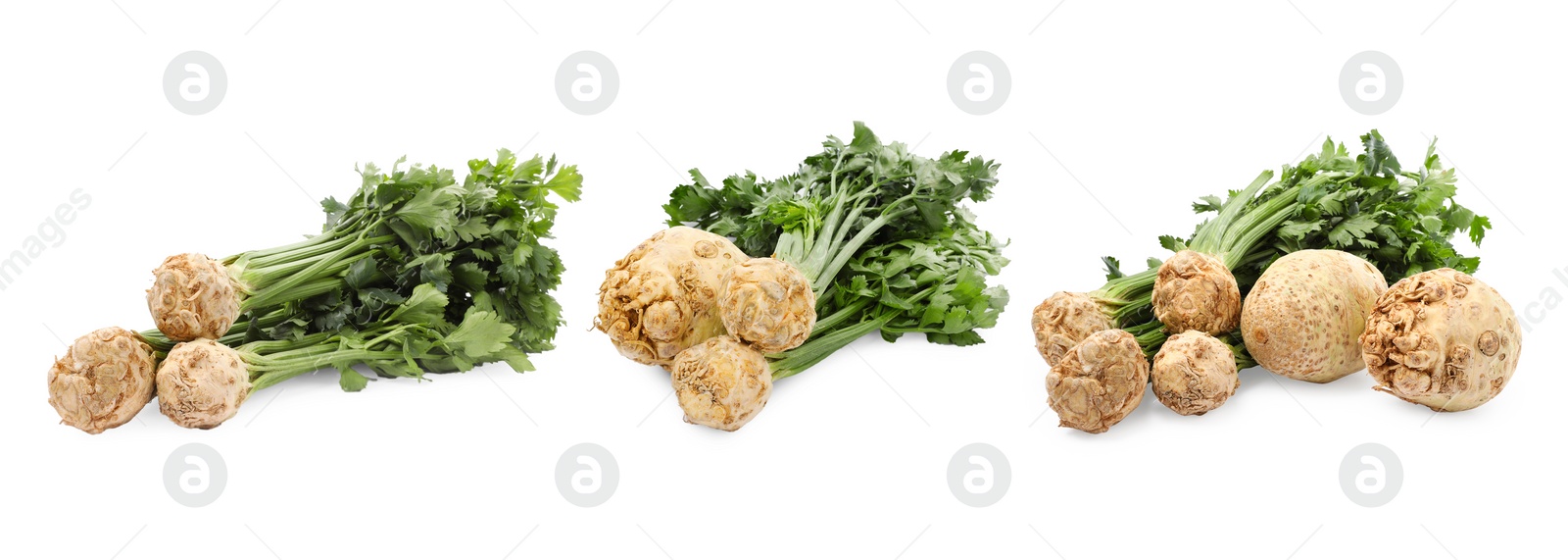 Image of Fresh celery roots isolated on white, set