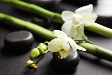 Photo of Bamboo branches with flowers and spa stones on black background