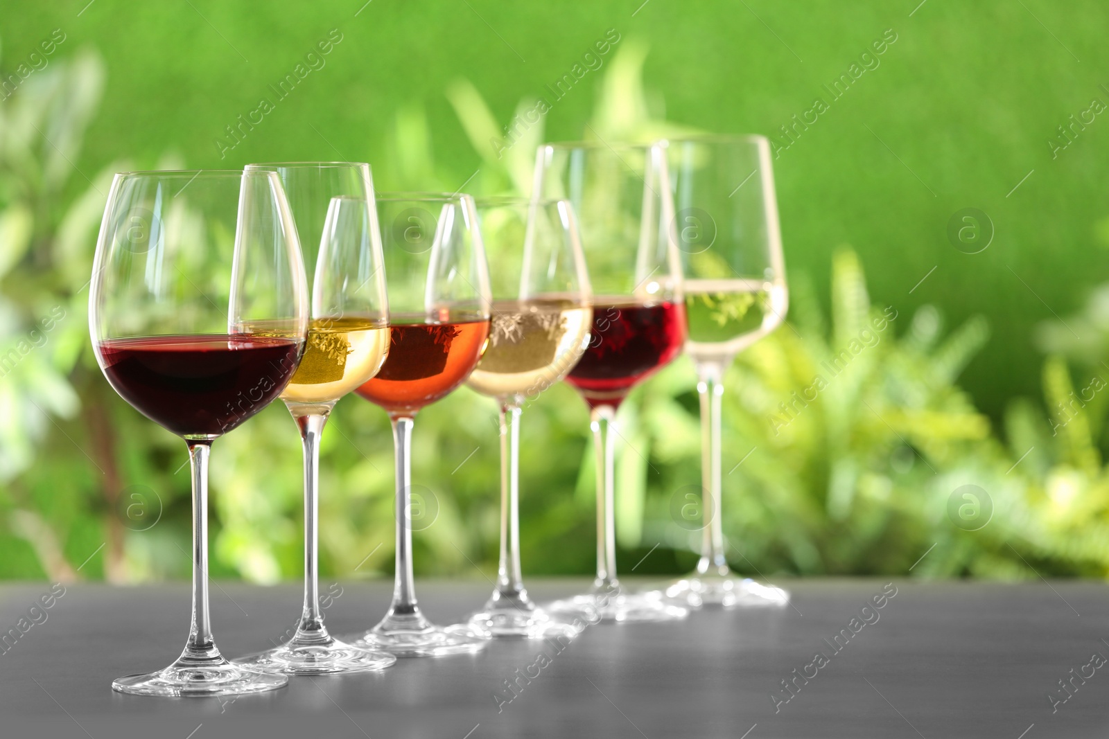 Photo of Row of glasses with different wines on grey table against blurred background. Space for text