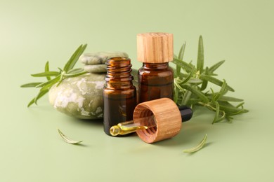 Aromatic essential oils in bottles, rosemary, pipette and pebble stones on green background