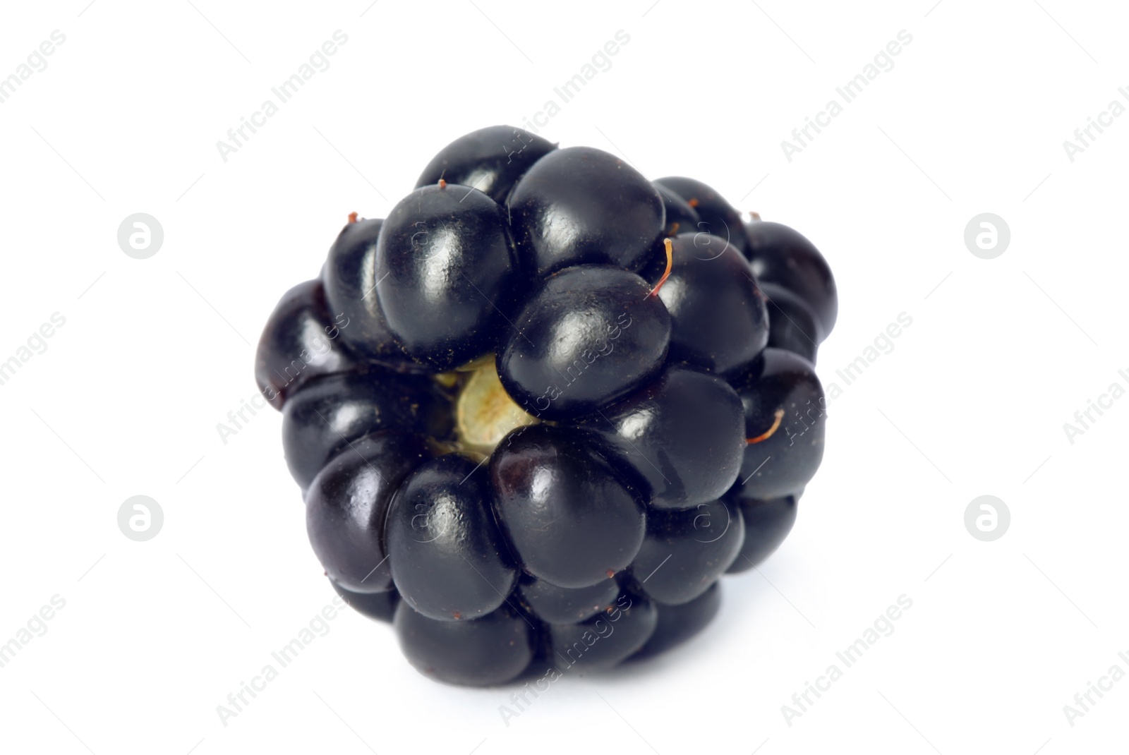 Photo of Fresh ripe juicy blackberry on white background