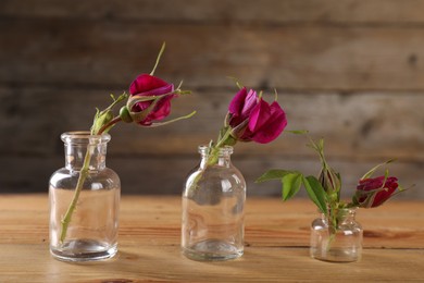 Photo of Beautiful roses in glass bottles on wooden table