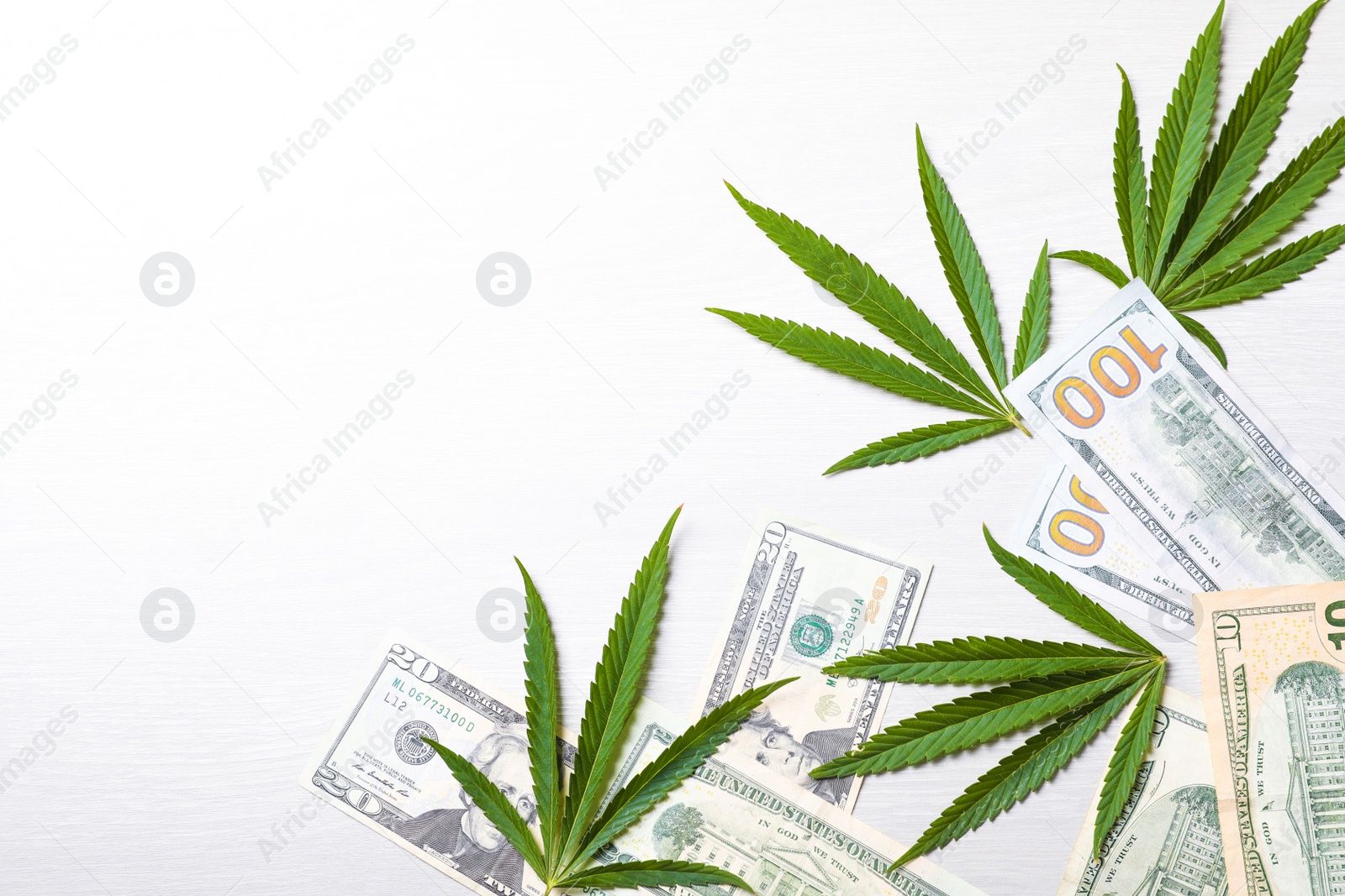 Photo of Green hemp leaves and money on white wooden background, flat lay. Space for text