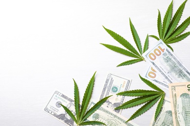 Green hemp leaves and money on white wooden background, flat lay. Space for text