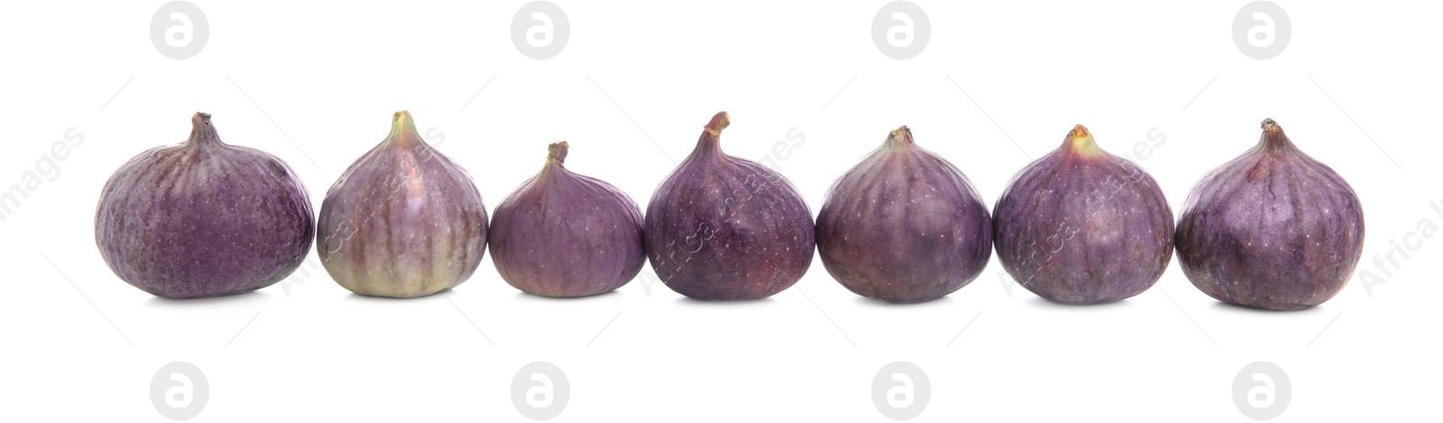 Photo of Row of whole fresh figs isolated on white