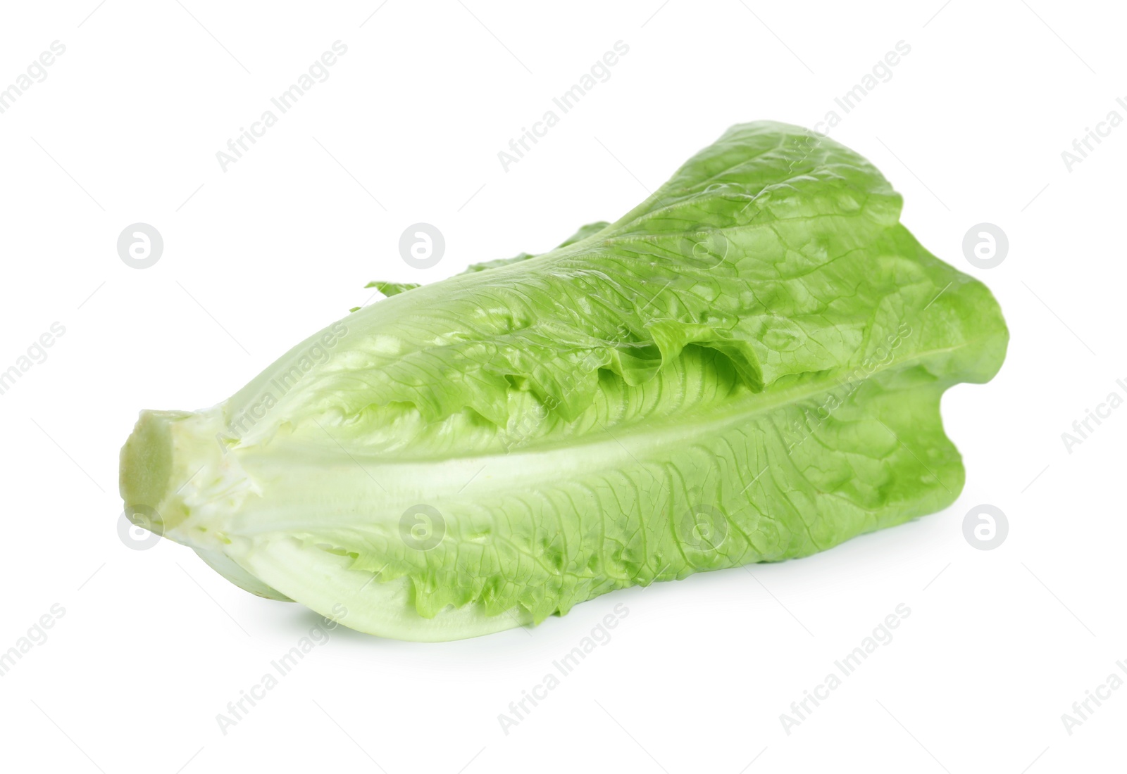 Photo of Fresh green romaine lettuce isolated on white