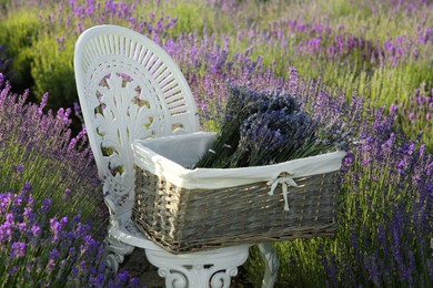 Photo of Wicker box with beautiful lavender flowers on chair in field outdoors