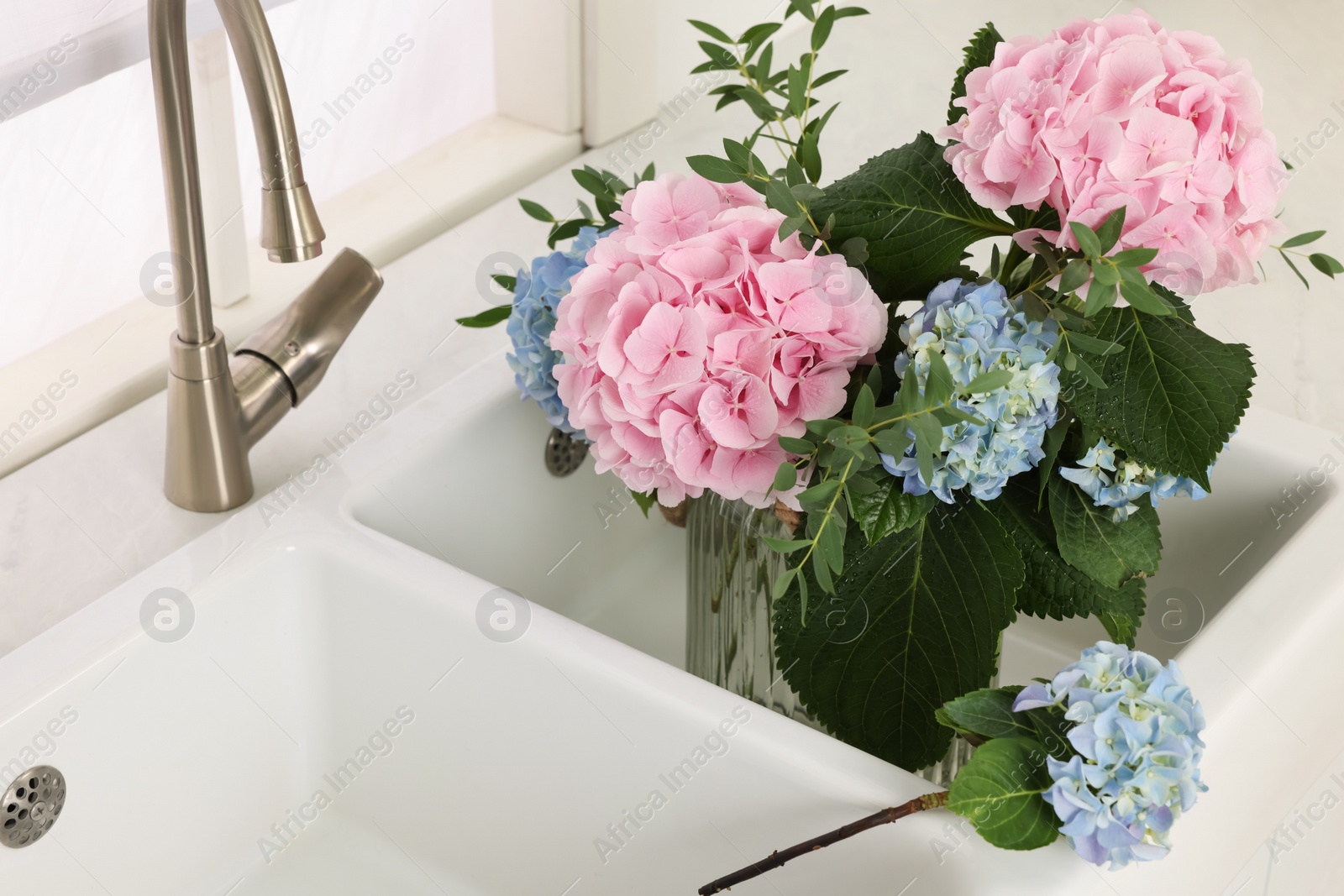 Photo of Vase with beautiful hortensia flowers in kitchen sink