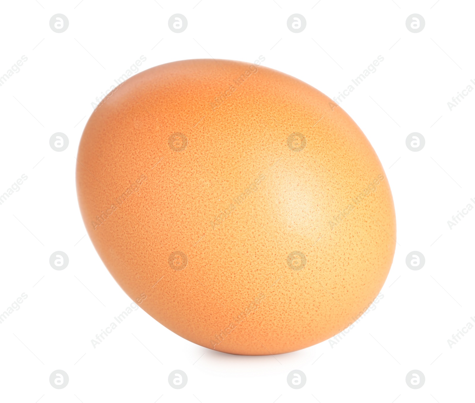 Photo of One raw chicken egg isolated on white