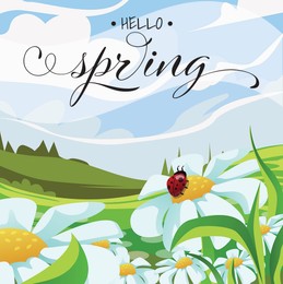 Illustration of Hello Spring card. Ladybug sitting on chamomile flower in meadow under blue sky, illustration