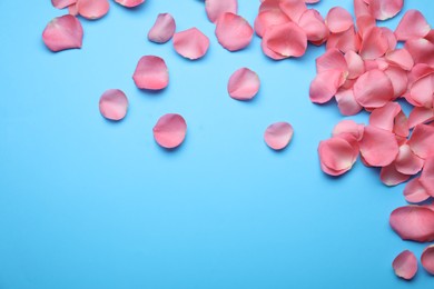 Beautiful pink rose flower petals on light blue background, flat lay. Space for text