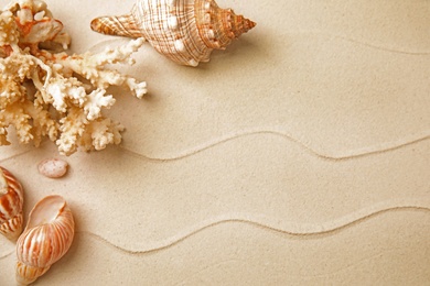 Different beautiful sea shells and coral on sand, flat lay. Space for text