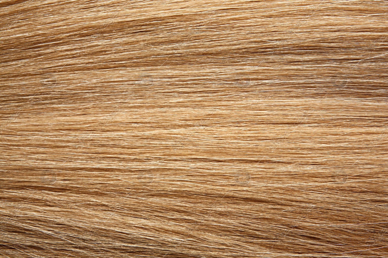 Photo of Texture of healthy blond hair as background, closeup