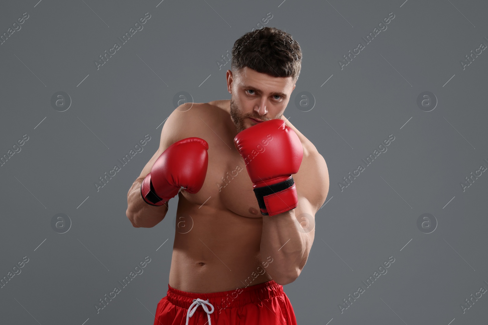 Photo of Man in boxing gloves on grey background