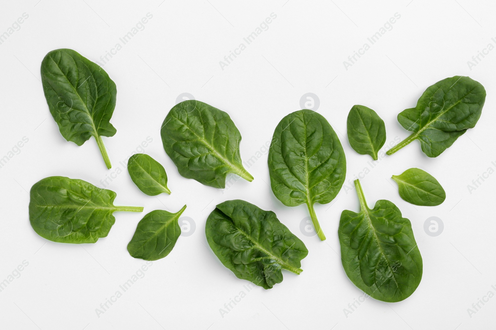 Photo of Fresh leaves of spinach isolated on white, top view