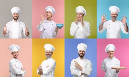 Collage with photos of professional chefs on different color backgrounds