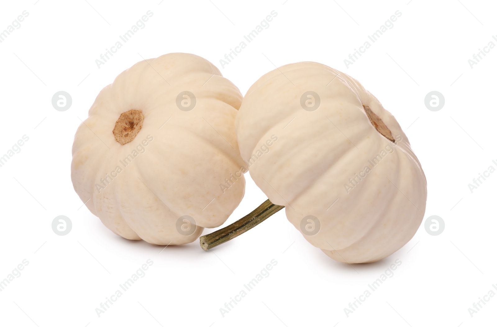 Photo of Two ripe beige pumpkins isolated on white