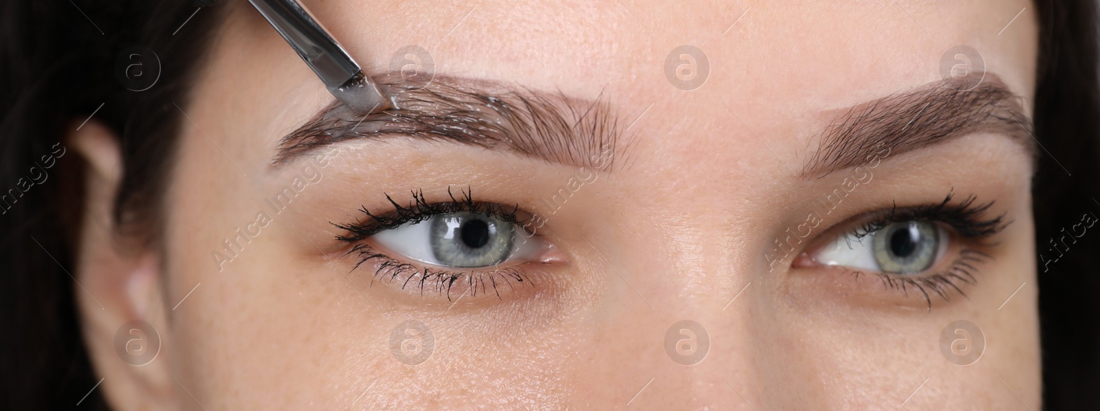 Photo of Beautician applying tint during eyebrows correction procedure on light grey background, closeup