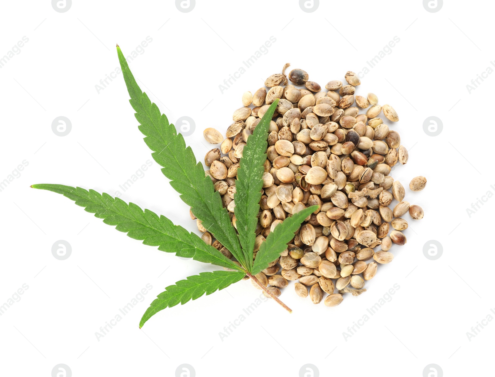 Photo of Leaf and seeds of medical hemp on white background, top view