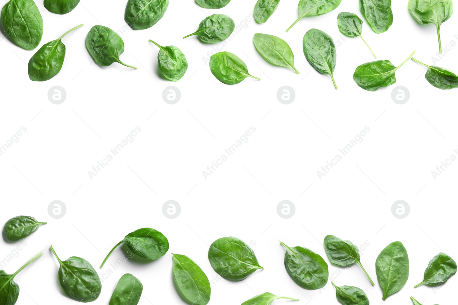 Photo of Fresh green healthy baby spinach leaves on white background, top view. Space for text