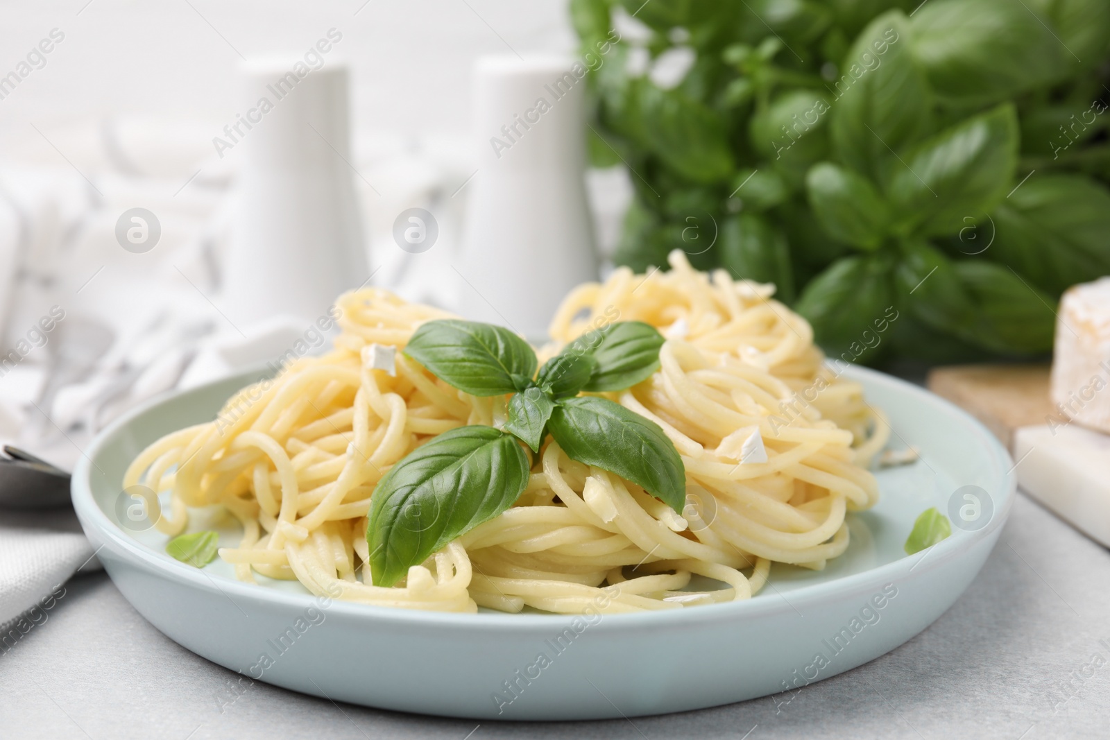 Photo of Delicious pasta with brie cheese and basil leaves on light grey table