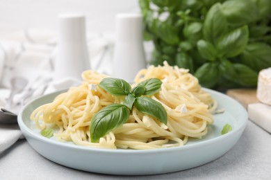 Delicious pasta with brie cheese and basil leaves on light grey table
