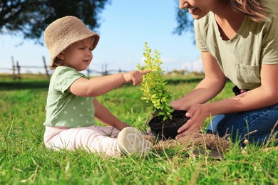 Mother and her baby daughter planting tree together in garden, closeup