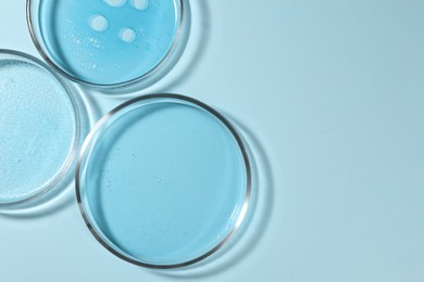 Petri dishes with different samples on light blue background, top view. Space for text. Laboratory glassware