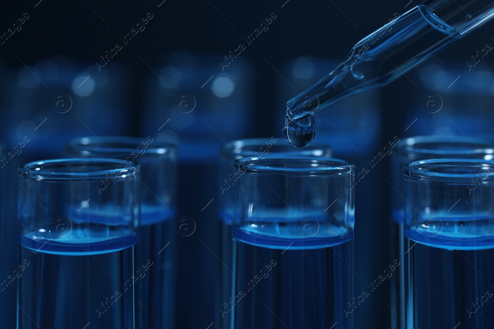 Photo of Dripping reagent into test tube with blue liquid on dark background, closeup. Laboratory analysis