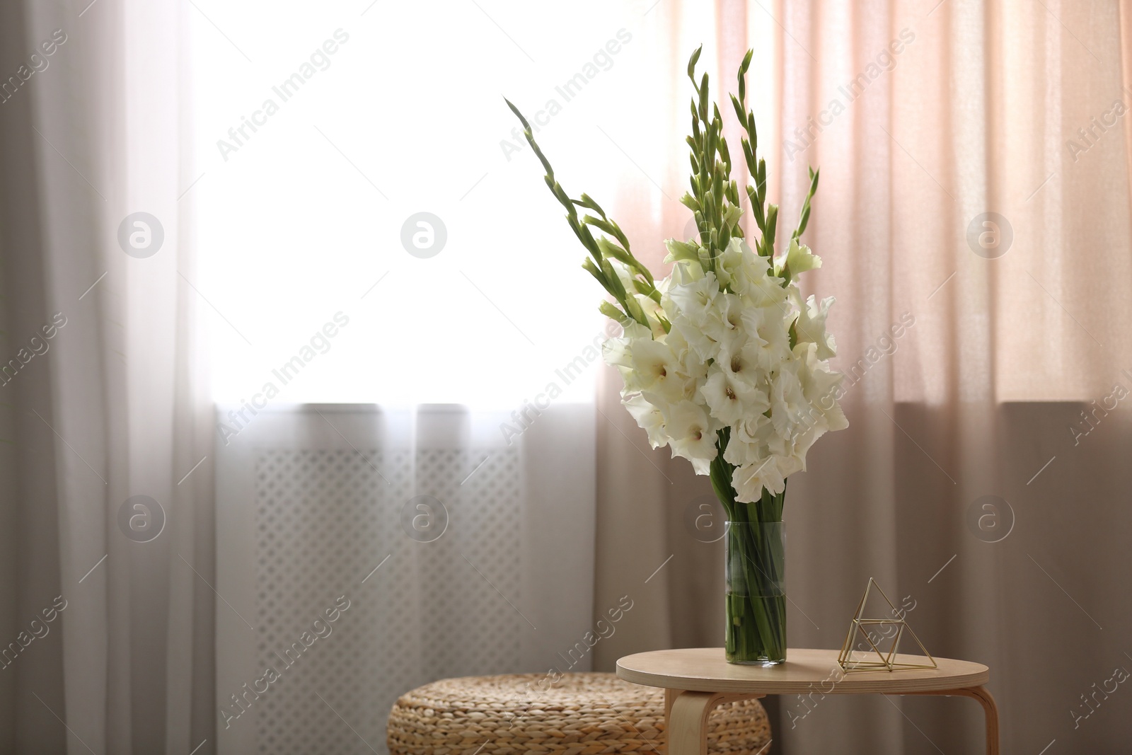 Photo of Vase with beautiful white gladiolus flowers on wooden table in room, space for text