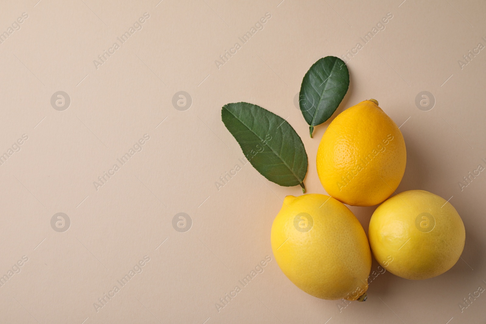 Photo of Ripe fresh lemon fruits and leaves on beige background, flat lay. Space for text