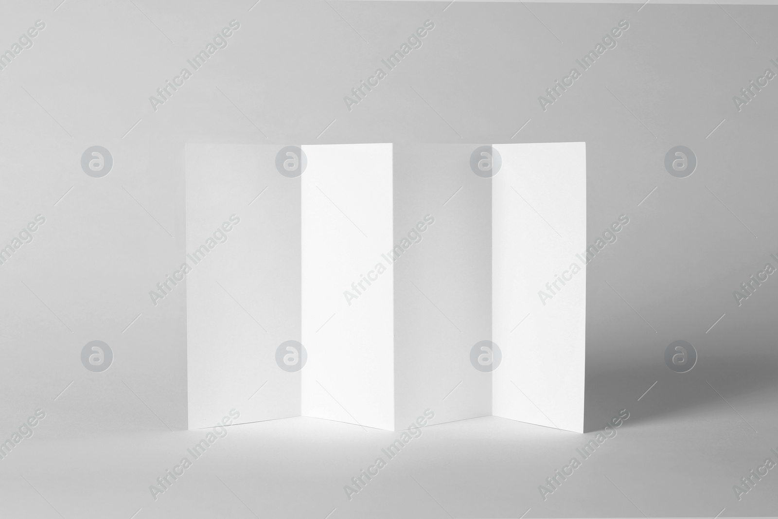 Photo of Blank brochure mock up on color background