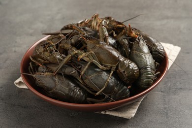 Photo of Fresh raw crayfishes in bowl on grey table, closeup