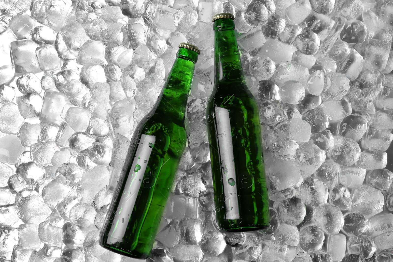 Photo of Bottles of beer on ice cubes, flat lay