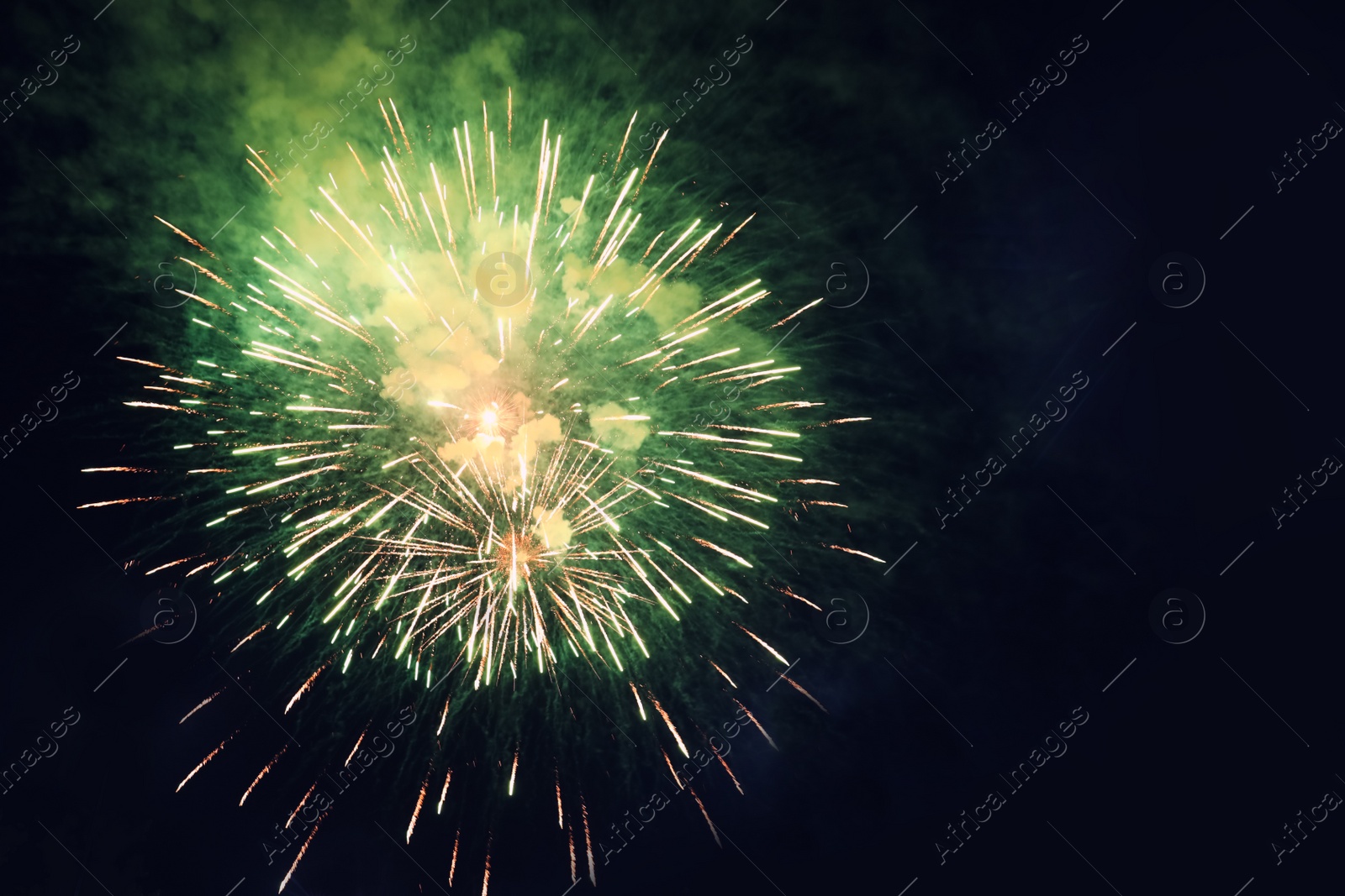 Photo of Beautiful bright firework lighting up night sky