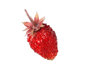 One ripe wild strawberry isolated on white