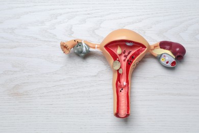 Photo of Anatomical model of uterus on white wooden table, top view with space for text. Gynecology concept
