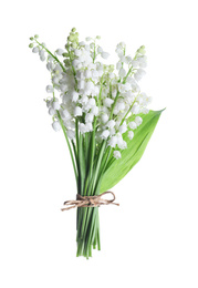 Photo of Beautiful lily of the valley flowers isolated on white