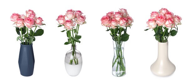 Image of Collage of stylish vases with beautiful rose bouquets on white background