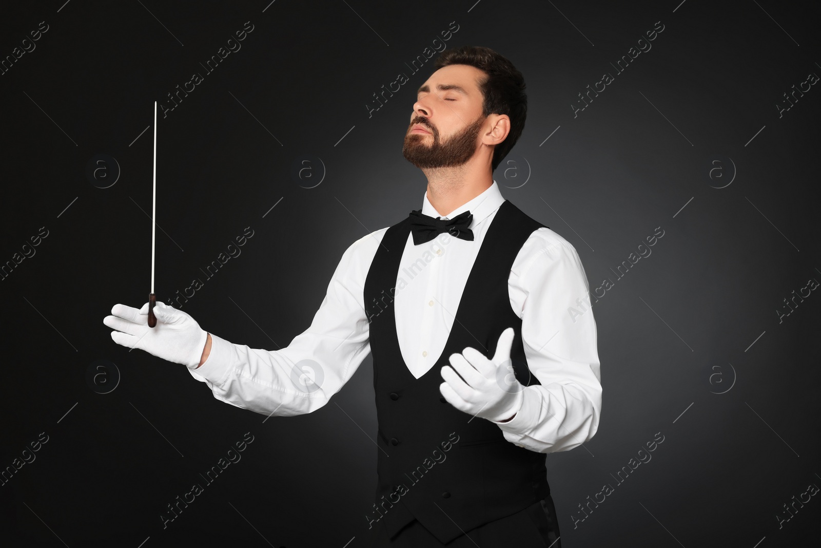 Photo of Professional conductor with baton on black background