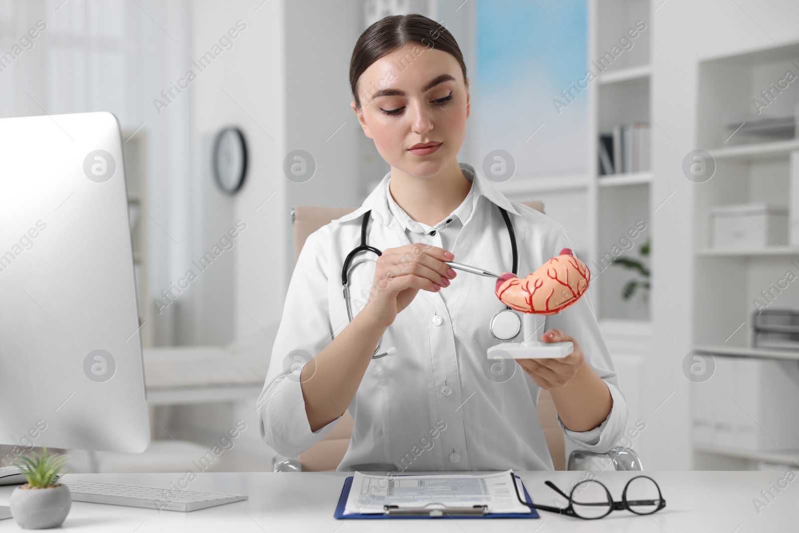 Photo of Gastroenterologist showing human stomach model at table in clinic