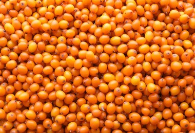 Photo of Fresh ripe sea buckthorn berries as background, top view