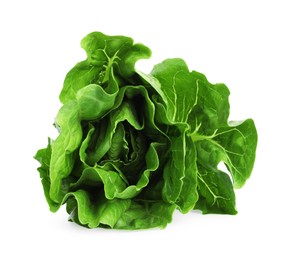Fresh green romaine lettuce isolated on white