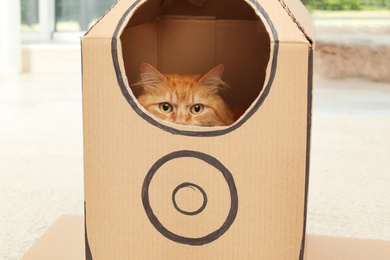 Adorable red cat in cardboard box indoors