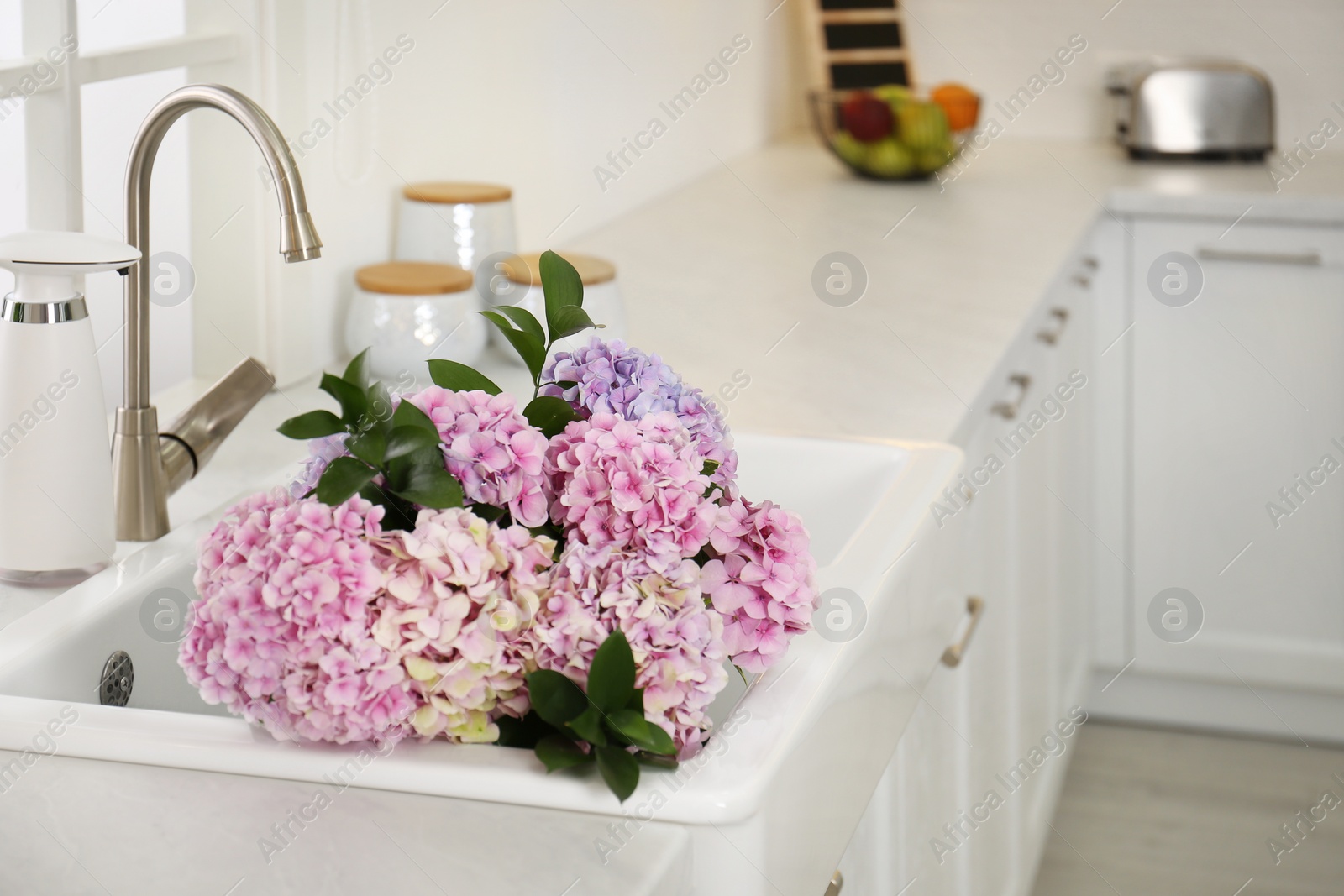 Photo of Bouquet with beautiful hydrangea flowers in sink