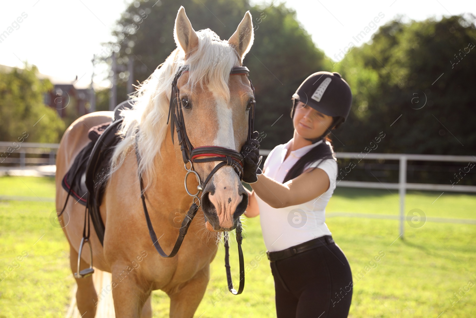 Photo of Young woman in horse riding suit and her beautiful pet outdoors on sunny day