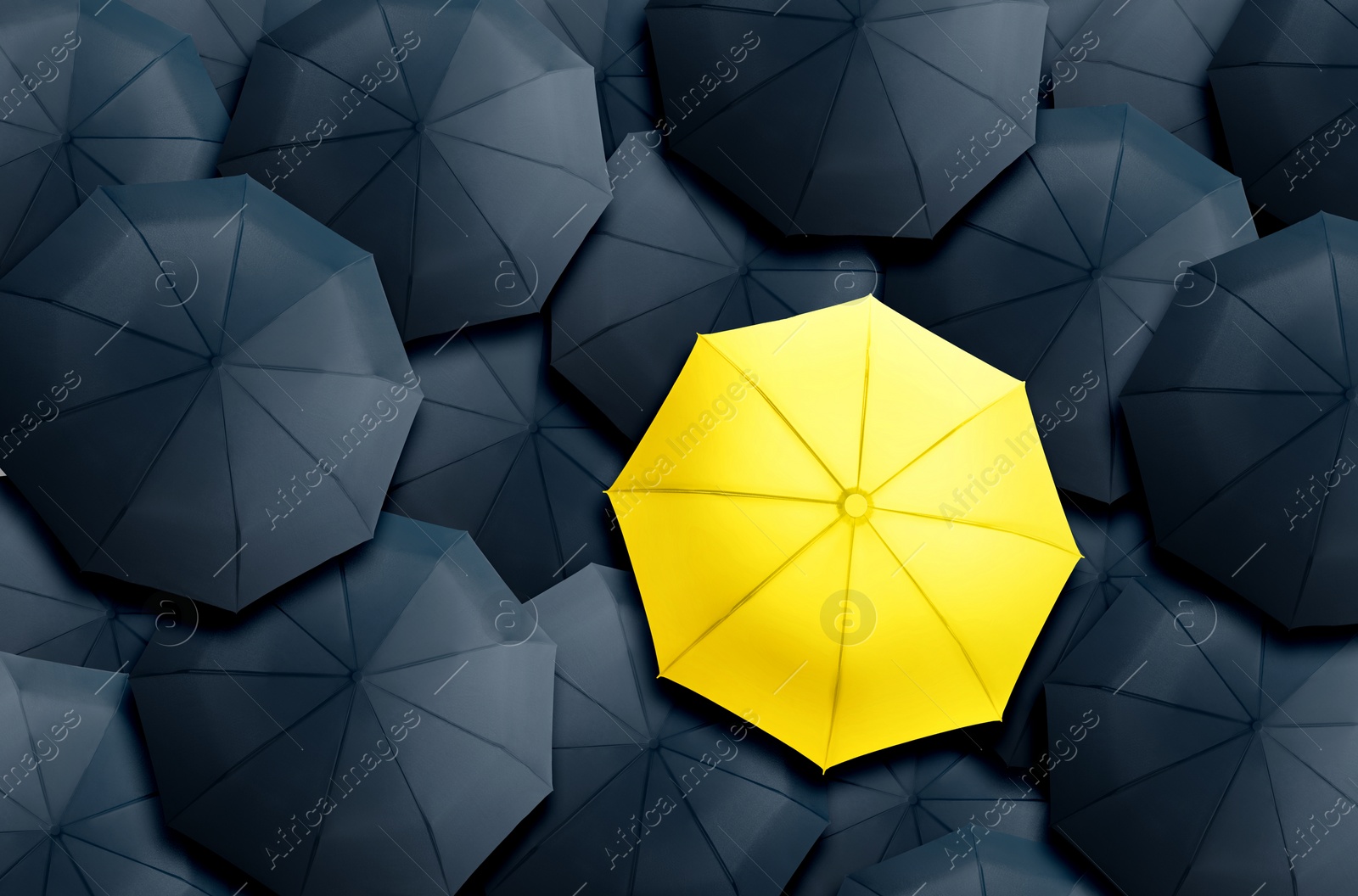 Image of Yellow umbrella standing out of other ones, top view